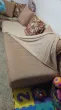 Slika 1