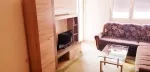 Slika 1