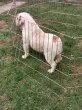 Slika 6