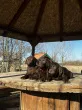 Slika 2
