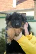 Slika 3