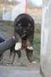 Slika 3