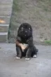 Slika 5