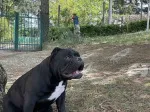 Slika 3