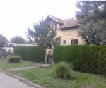 Slika 1