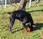 Slika 2