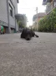 Slika 5