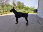 Slika 3