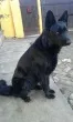 Slika 3