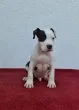 Slika 3