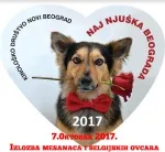 Slika 1