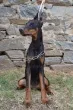 Slika 4