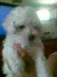 Slika 3