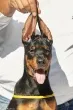 Slika 6