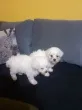 Slika 2