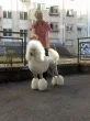 Slika 3