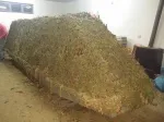 Slika 1