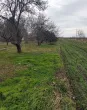 Slika 4