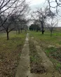 Slika 6