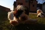 Slika 2