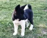Slika 3