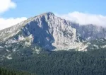 Slika 1
