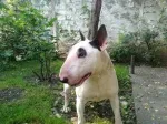 Slika 2