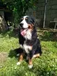 Slika 2