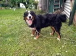 Slika 3