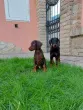 Slika 2