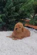 Slika 3