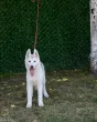 Slika 2