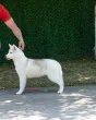 Slika 3