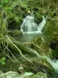 Slika 1