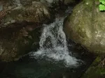 Slika 4