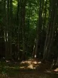 Slika 5