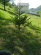 Slika 6