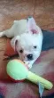 Slika 2