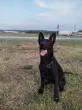 Slika 4
