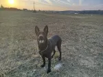 Slika 2