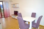 Slika 1