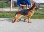 Slika 4