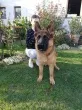 Slika 2
