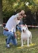 Slika 6