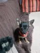 Slika 1