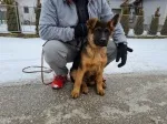 Slika 1