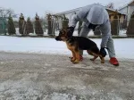 Slika 3