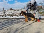 Slika 5
