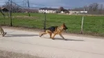 Slika 6