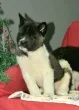 Slika 4